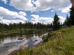 Mountain view with flowers and clouds reflected in the water