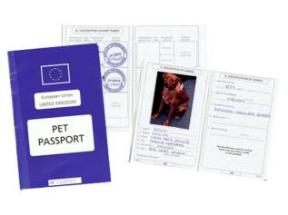 sophie[ass[prt fpr b;pg