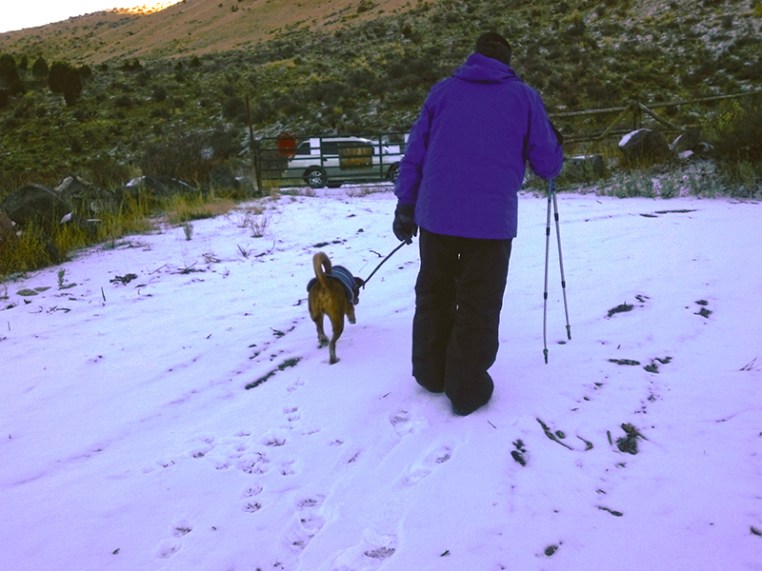 dog and man walking in snow toward car