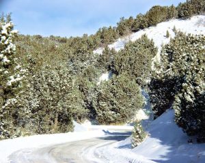 looking down a winding road with snow cover and plaw banks. The light is blue and bright.
