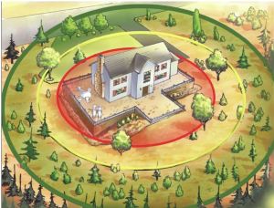 diagram of a yard wit a 100 ft defenable space