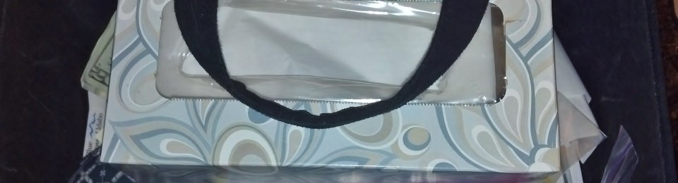 organizer basket filled with junk inclding ziplock kleenex and a 20 bill