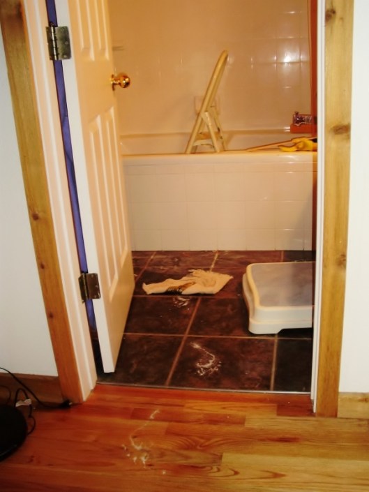 looking into a bathroom at the batutub where there is a stepstool. White bre-foot footprints lead from the tub