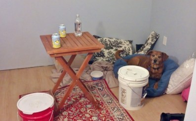 red rug, pillows, dog in dog bed, outdoor bistro table with soft drinks and two 5 gallon buckets