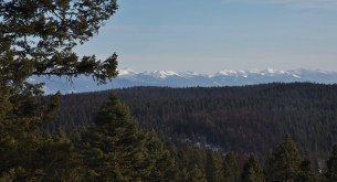 view across tree filled valley to snow capped mountains