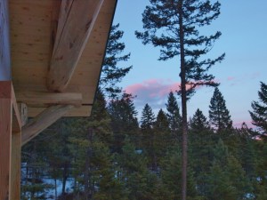 ??????????????????????