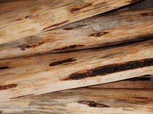 close up shot of details of wood on log stairs which are not identifiable at this close range