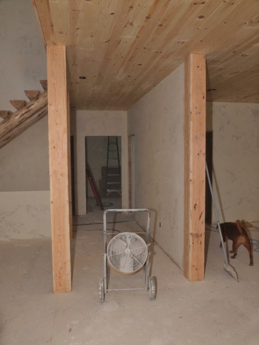 looking down toward hall between two hand hewn 8 x 8 posts, dog walking in shadows on right