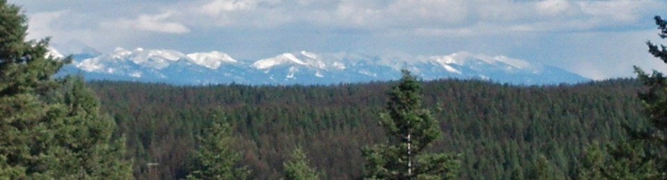 senic shot with evergreen trees in the foreground and all mountains in the long view